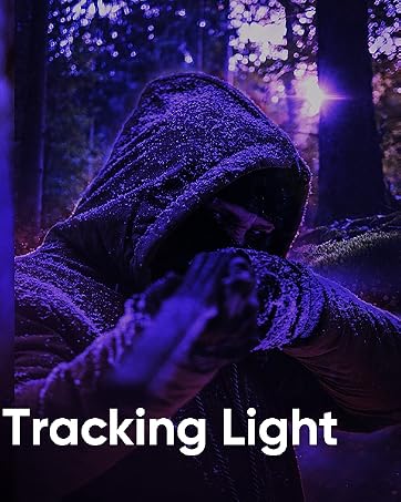high power uv flashlight