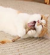 Tocirelo Cat Toys Silvervine Sticks - 6Pack Natural Cat Chew Toys for Indoor Cats Kittens, Cat Fe...