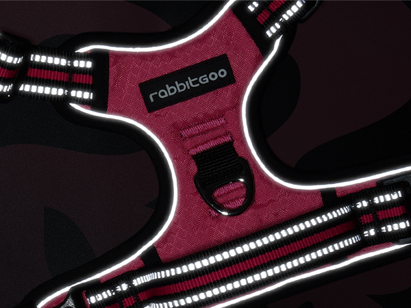 dog harness