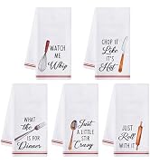 R HORSE 5Pcs Kitchen Dish Towel Funny Cookware Kitchen Dishcloth Absorbent Utensils Themed Cleani...