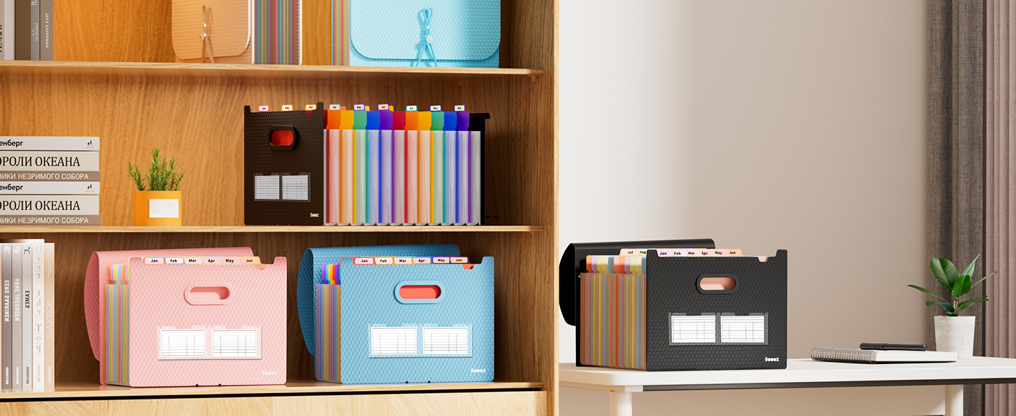 accordion file organizer 12 pocket