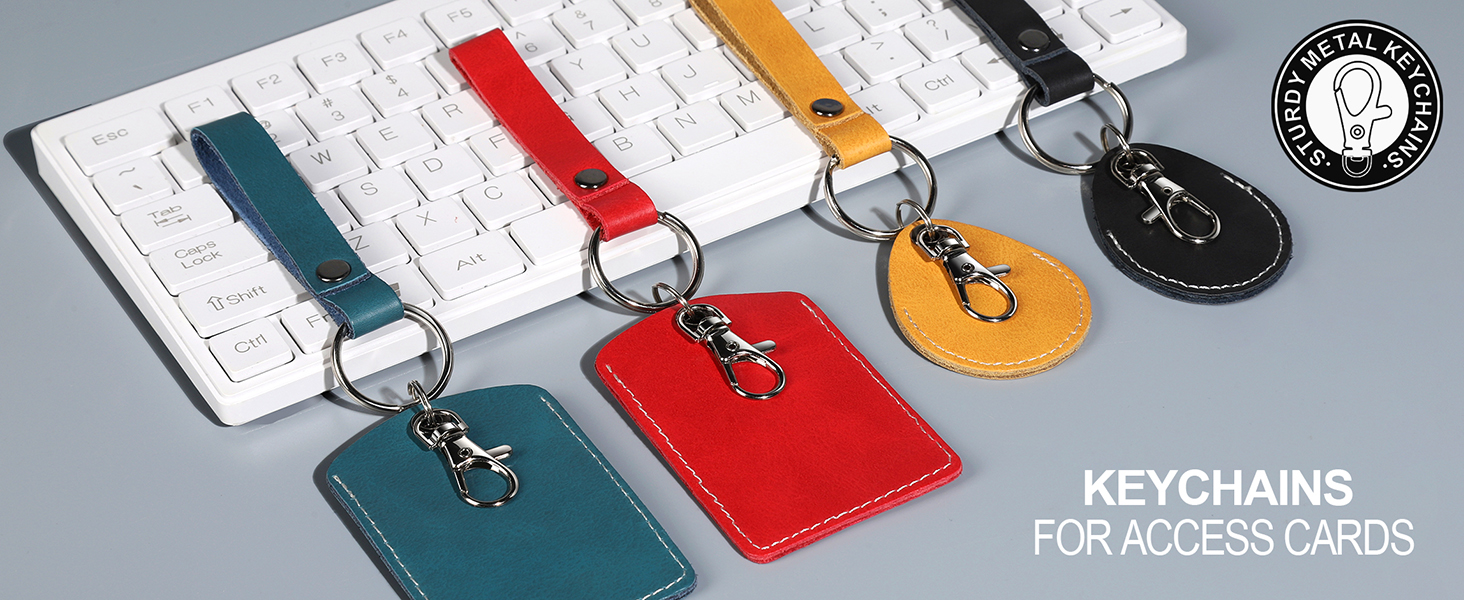 Keychain for Keys and Cards
