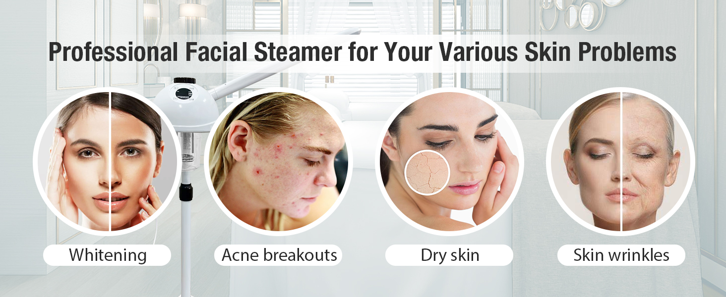 Facial Steamer