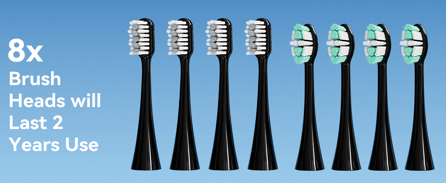 8 brush heads