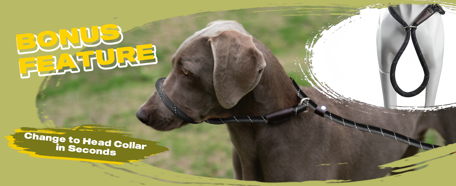 Slip Lead Dog Leash