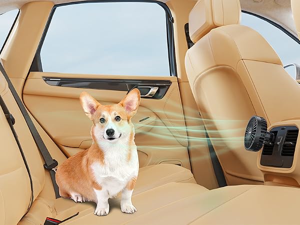 for rear vent