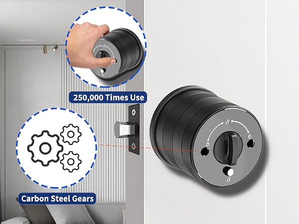 Carbon Steel Gears