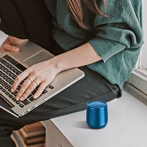 laptop speakers