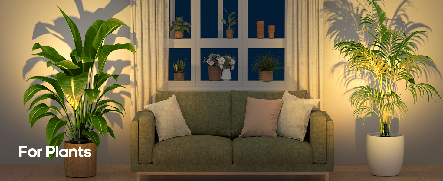 Plant Spotlights Indoor