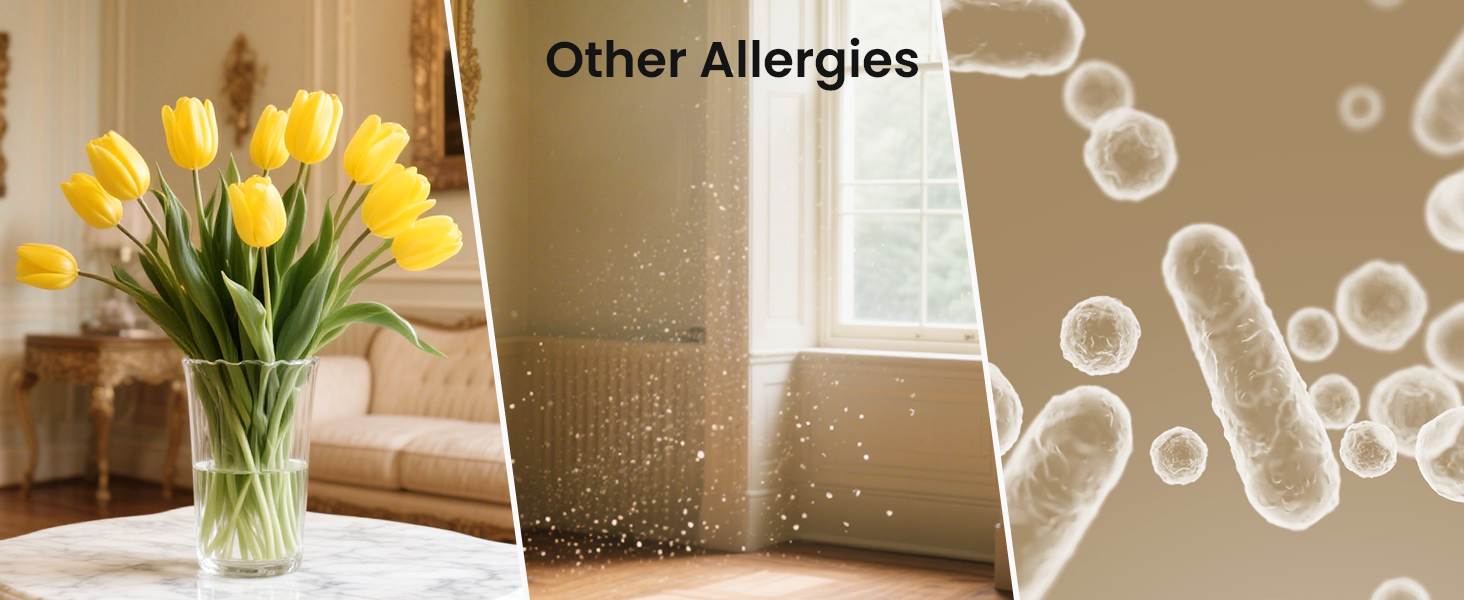 pet air purifier H13 HEPA Air Cleaner for Pet Hair Dander Odor Allergies Pollutant