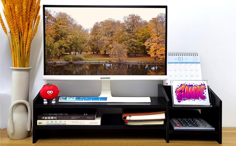 Computer Monitor Stands