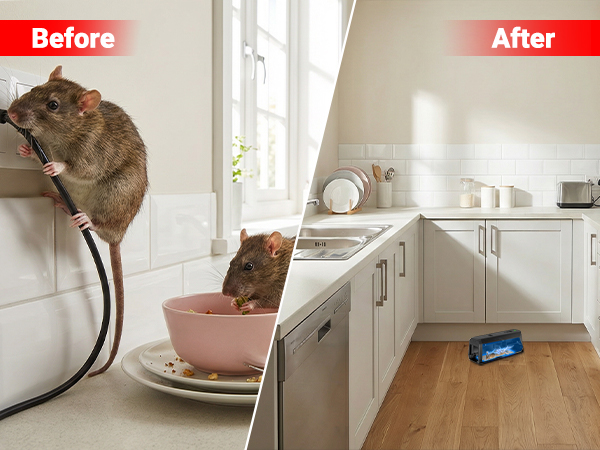electric mouse traps indoor for home