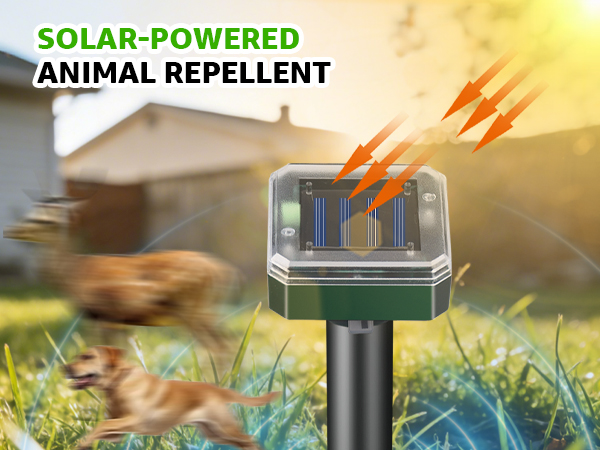 Mole Repellent Solar Powered