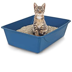 Petmate Open Cat Litter Box, Blue Mesa/Mouse Grey, 4 Sizes