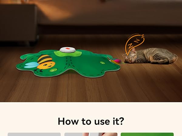 cat toys