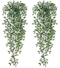 https://m.media-amazon.com/images/S/aplus-media-library-service-media/2a7424e3-7459-4cba-973c-b27f10d9de98.__AC_SR200,225___.jpg