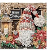 DIADAY Gnome Diamond Painting Kit, Special Shape Diamond Art 12x12 Inch | 5D Crystal Rhinestone D...