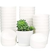 25 Pcs Plastic Planters Indoor Flower Plant Pots, Mini Flower Seedlings Nursery Pot/Planter/Flowe...
