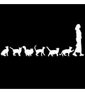 Cat Lady Decor Decals, Car Auto Truck Decals, Window, Self-Adhesive Vehicle Sticker, Bumper Stick...