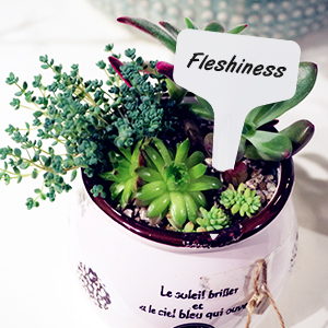 plant tags