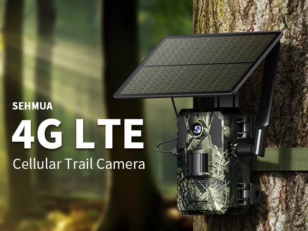 trail camera