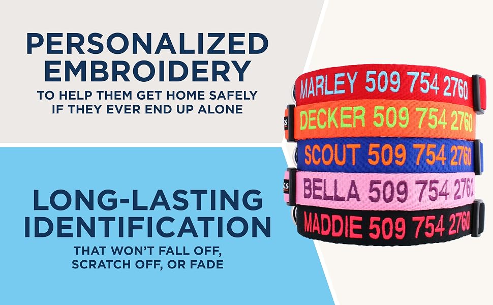 GoTags personalized dog collar, embroidered, custom dog collar with name