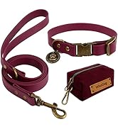 Wisedog Waterproof Dog Collar and Leash Set, Adjustable Puppy Collars with Cute Tag 5FT Dog Leash...