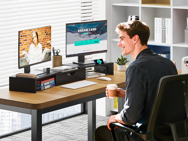dual monitor stand for desk