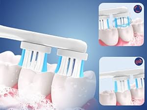 spinbrush toothbrush replacement heads