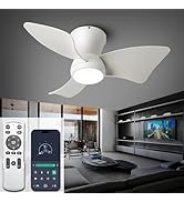 ducrew 24 Inch Flush Mount Ceiling Fans with Lights, High Airflow Remote/APP Control, 3CCT Dimmab...