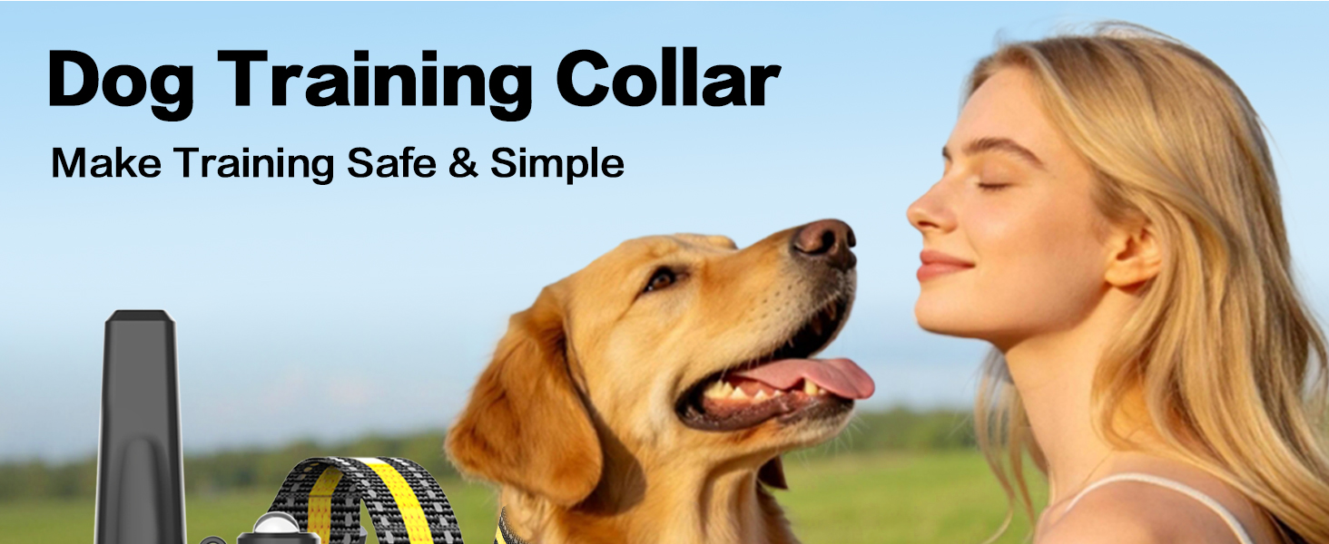 shock collar for dogs
