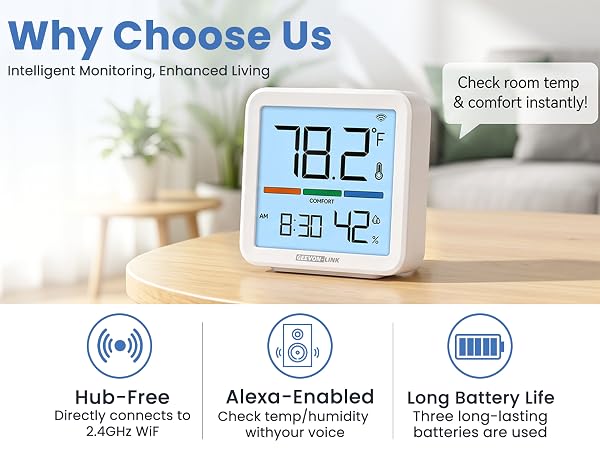 Thermometer Hygrometer