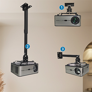 Projector Mounts