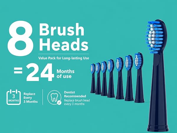 Text reads '8 Brush Heads=24 Months of Use' with icons for 'Approx. 3 months' and 'Replace regularly'. Eight replacement brush heads displayed in teal/dark blue colors alongside electric toothbrush. Value proposition showing 24-month supply equivalent.