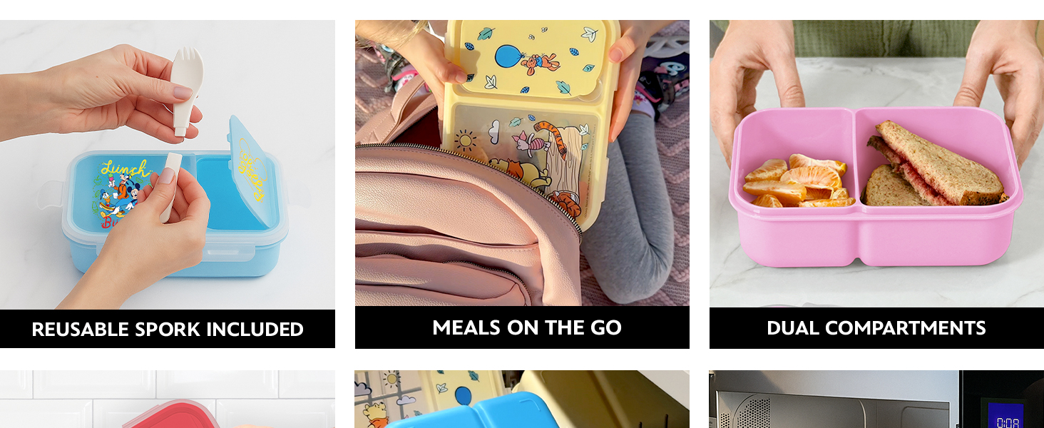 Bento Box Uses and Features