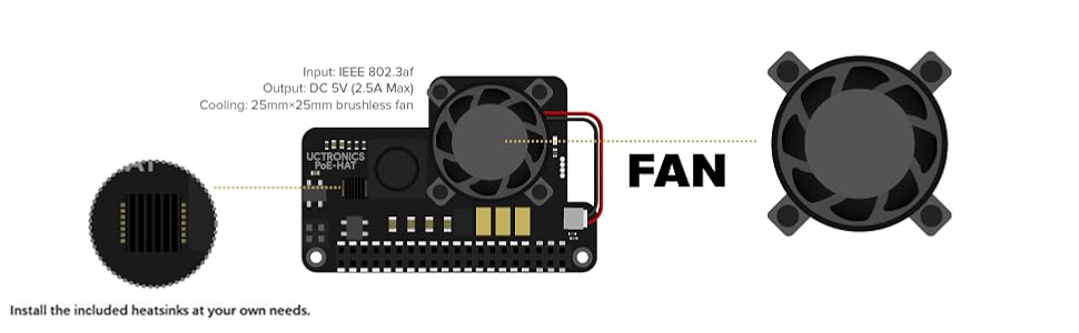 fan