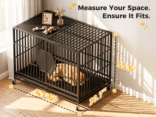 measure space