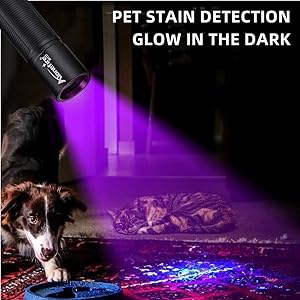 Pet Urine Detector