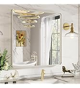 LOAAO 36X36 Inch Brushed Nickel Bathroom Mirror, Rounded Rectangle Silver Metal Frame Mirror, Bru...