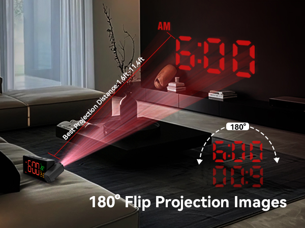 180° Filp Projection Images