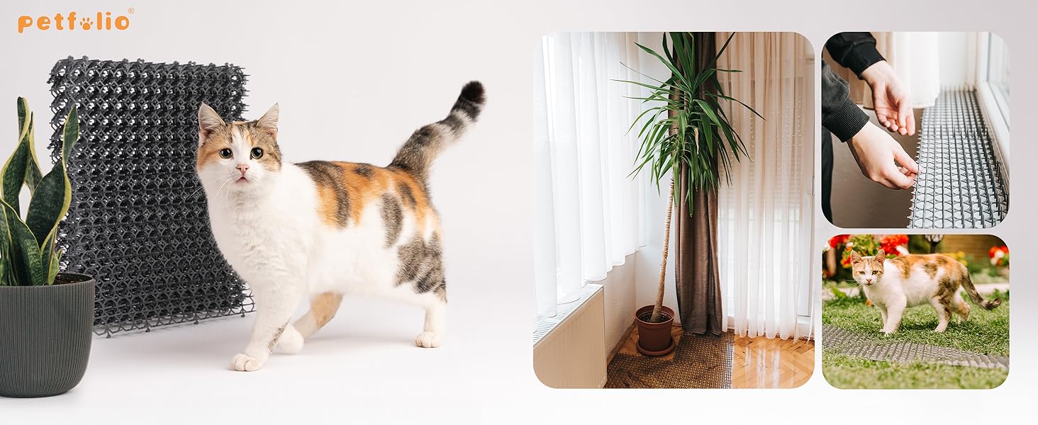 Indoor and Outdoor