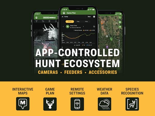 The Connected Ecosystem