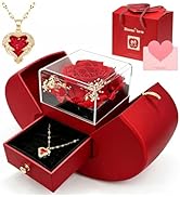 Long-Lasting Preserved Rose Gift Box, Romantic Permanent Rose for Her, Perfect Birthday Surprise ...