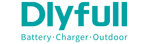 Dlyfull battery tester