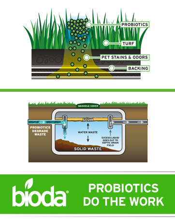 turf enzymes