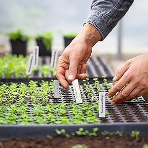 plant labels tags