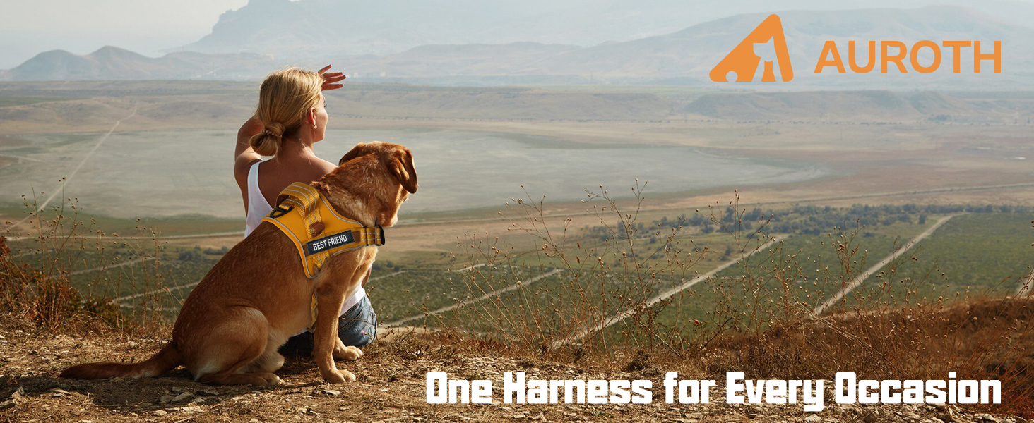 dog harness
