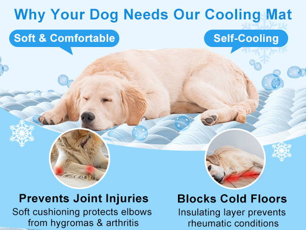 cooling mat dog