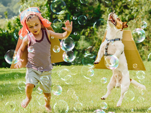Indulge in Playtime with Your Beloved Pets!