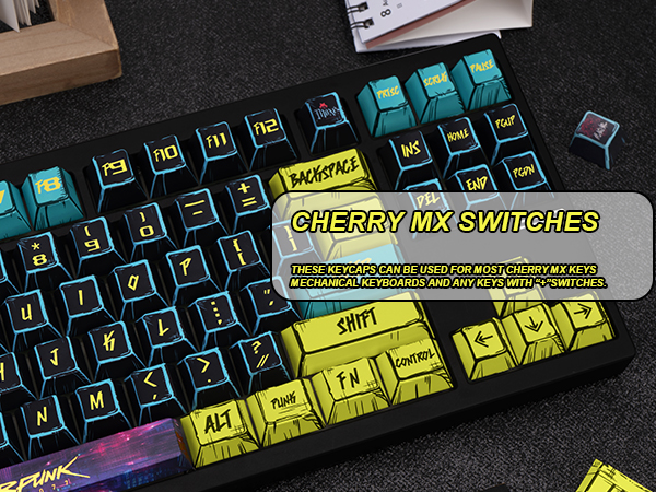 Cherry MX Switches